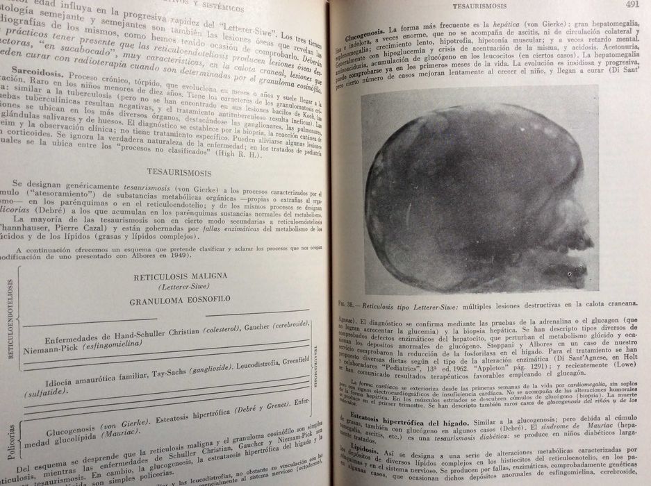 Pediatría Y Puericultura. Por Juan P. Garraham, 1966