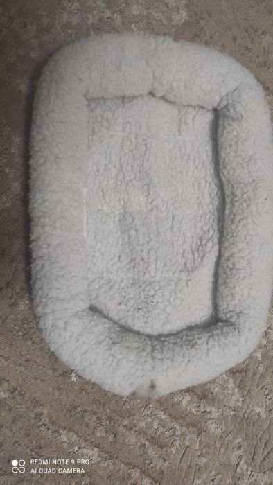 Дитячий чемодан Trunki на колесах