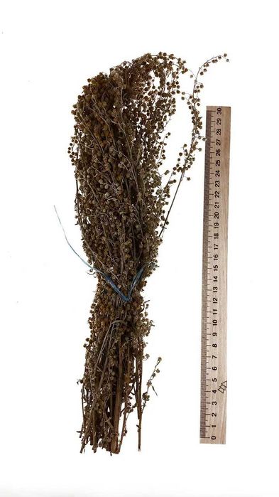 Полин гіркий пучки 40-50г