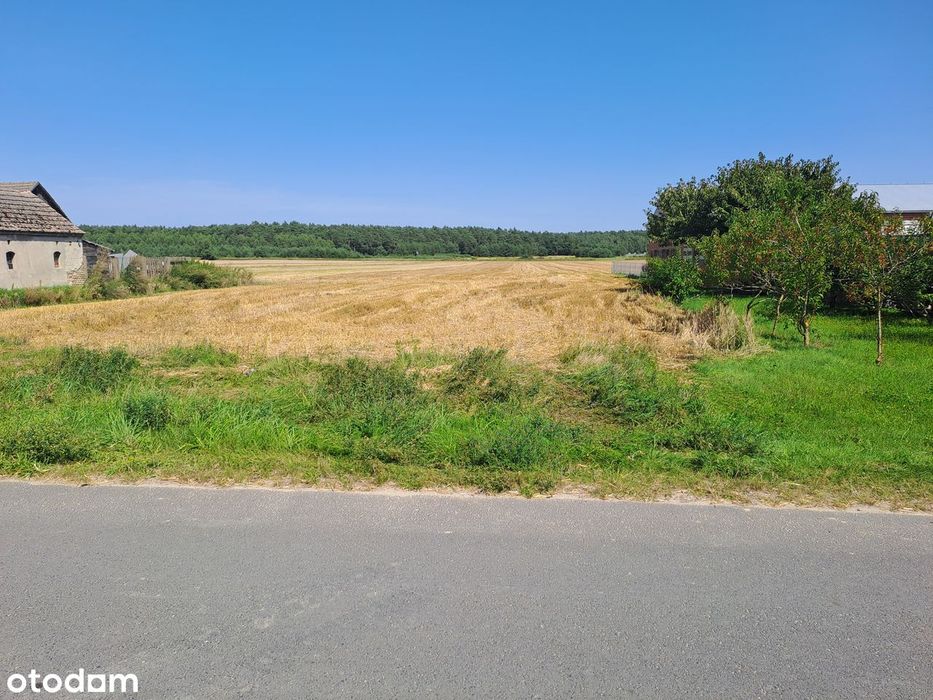 Działka budowlana w zabudowie zagrodowej 3000 m²