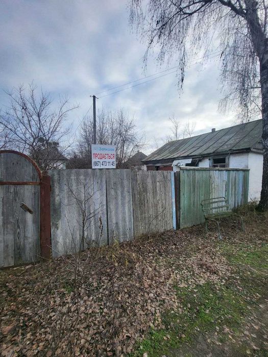 Земельна ділянка в селі Сокирна вул. Пилипенка.