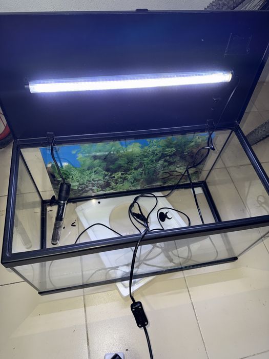 Aquario para peixes