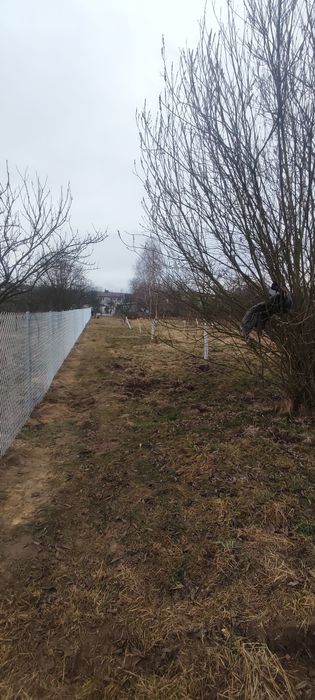 Siatka ogrodzeniowa producent