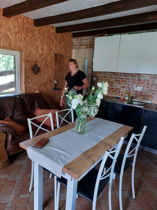 Zielony domek nad jeziorem