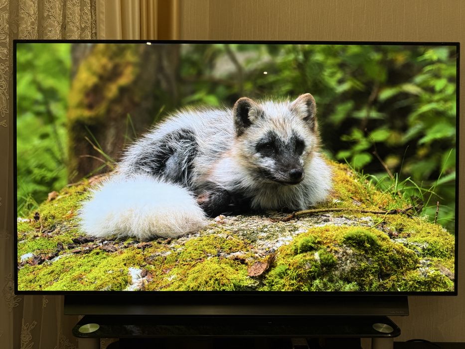 Телевізор LG OLED OLED55CX3LA 55" 4K 120Hz