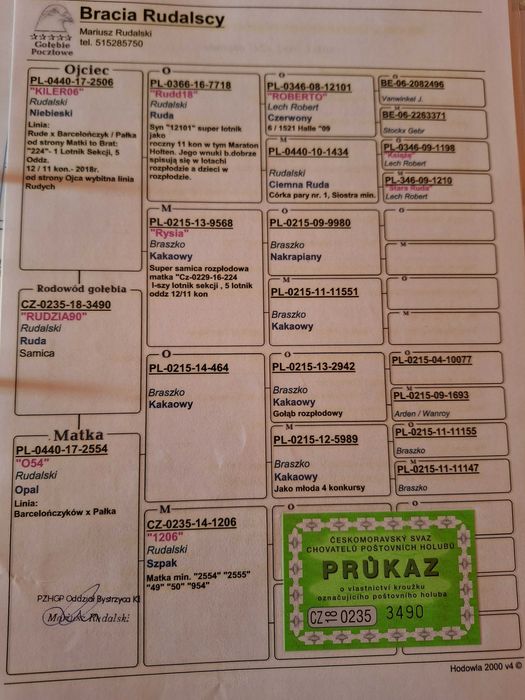 Gołębie pocztowe