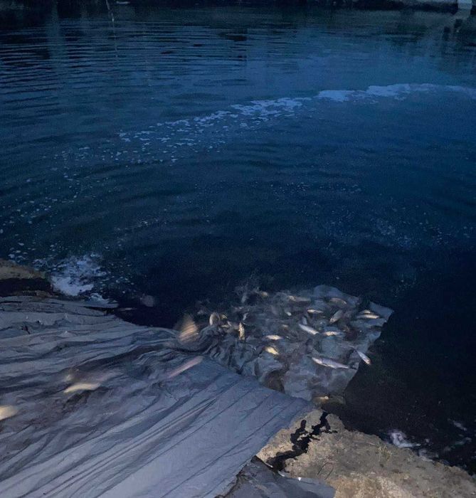 Продаж ділянки з виходом на  озеро на р. Десна. с. Новосілки Вишгород