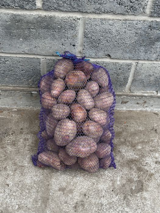 Sprzedam ziemiaki Bellarosa