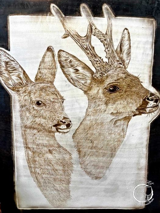 SARNY PORTRET - ręcznie wypalony obraz (pirografia)