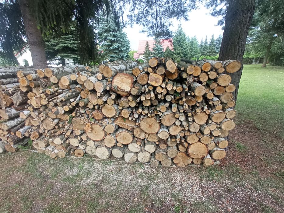 Drewno opałowe i kominkowe liściaste :brzoza, czeremcha, osika