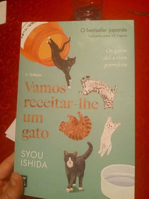 Vamos Receitar-lhe Um Gato, Syou Ishida