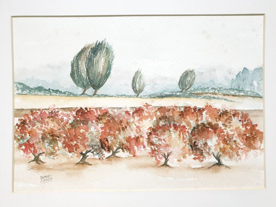Mestre José Tavares Correia - Paisagem aquarela assinada