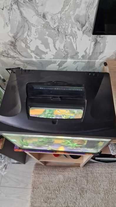 Акваріум приблизно 40 літрів