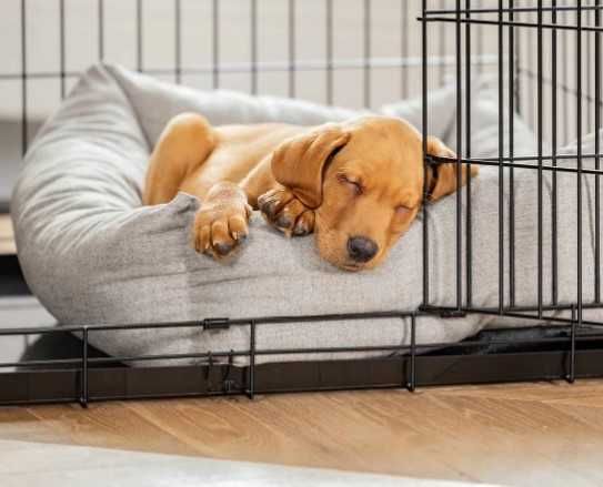 Клітка, клетка №3,4,5,6,7 для собак кошек птиц переноска Різні розміри