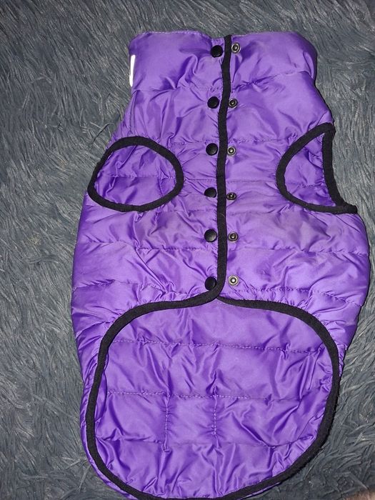 Деми Куртка, комбінезон AiryVest One собак