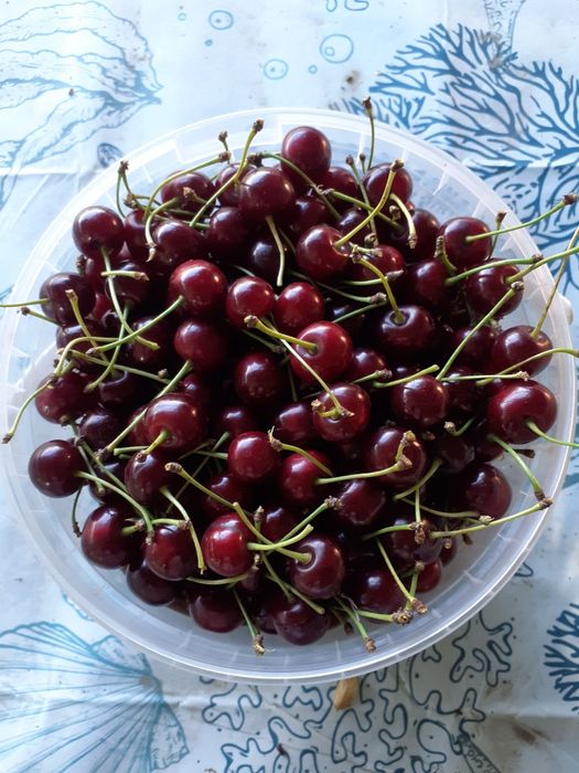 Orzechy Włoskie ZIELONE i Różne Owoce