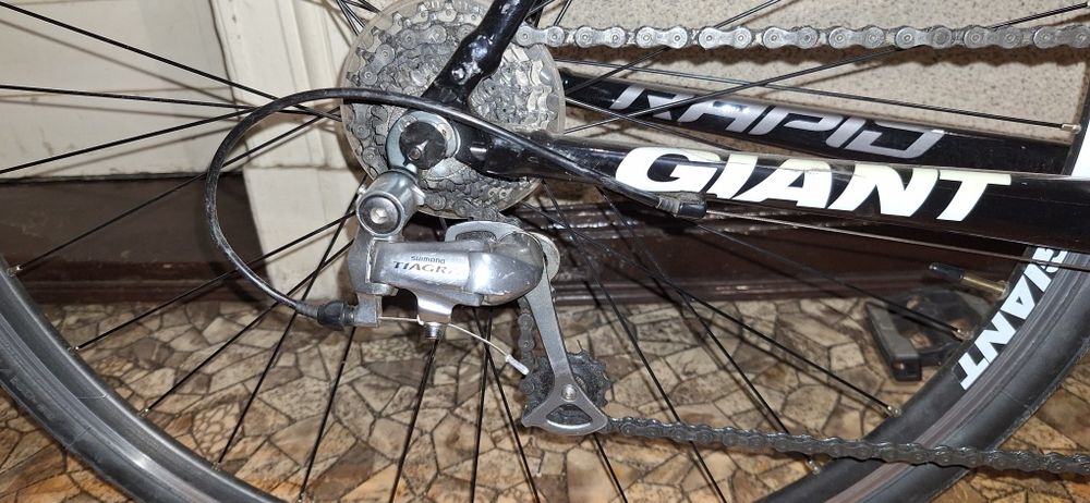 Giant Rapid, rama L
