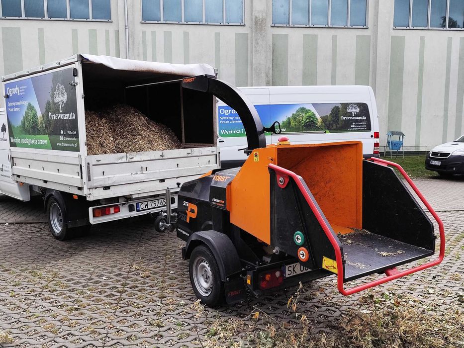 Wycinka pielęgnacja drzew, wycinanie, przycinanie, czyszczenie działek