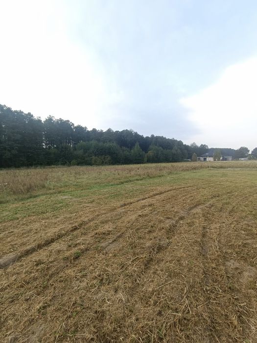 WYJATKOWA DZIAŁKA 1245 m² W KURIANACH - cisza, zieleń i spokój - Więcej