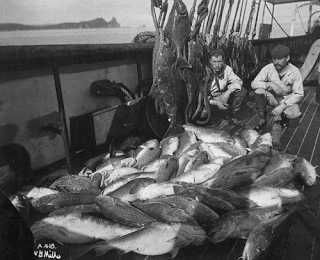 Livro dos CTT completo : "A Epopeia do Bacalhau" - Codfish Epic (The) -> "NOVO"