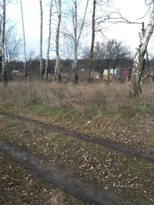 Земельна ділянка