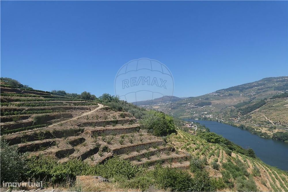 Plot of Land with Views of the Douro