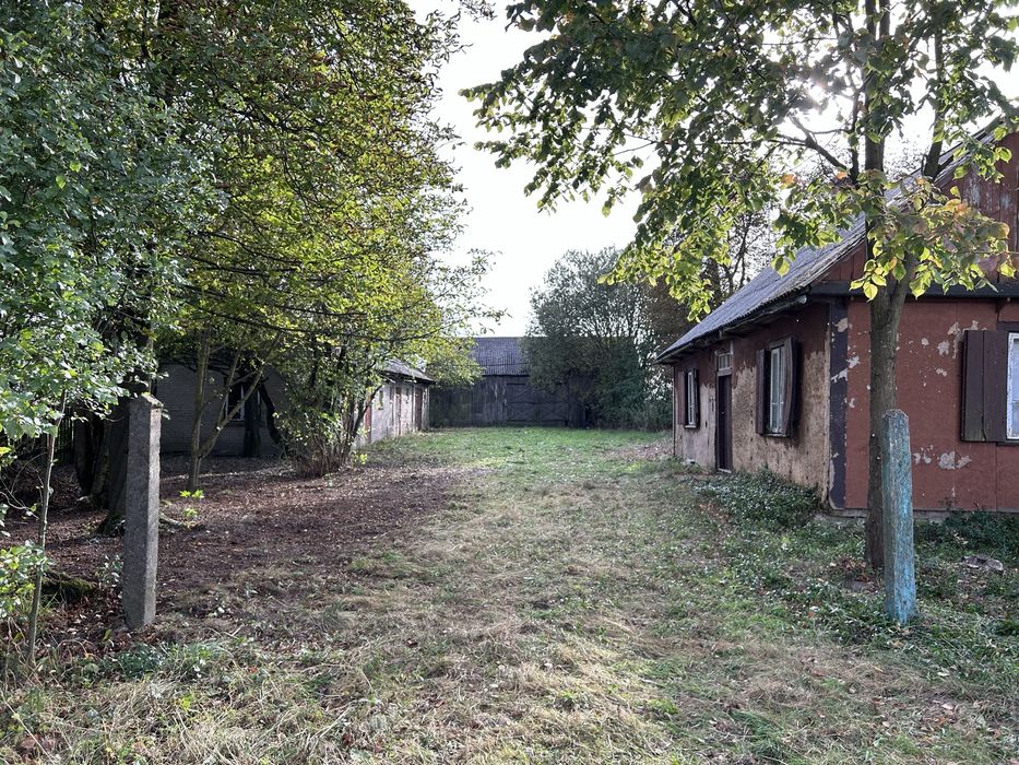 Działka rolno-budowlana z siedliskiem, spokojna okolica, media w dzialce, Prawda Nowa, gm. Stoczek Łukowski - Widok 2
