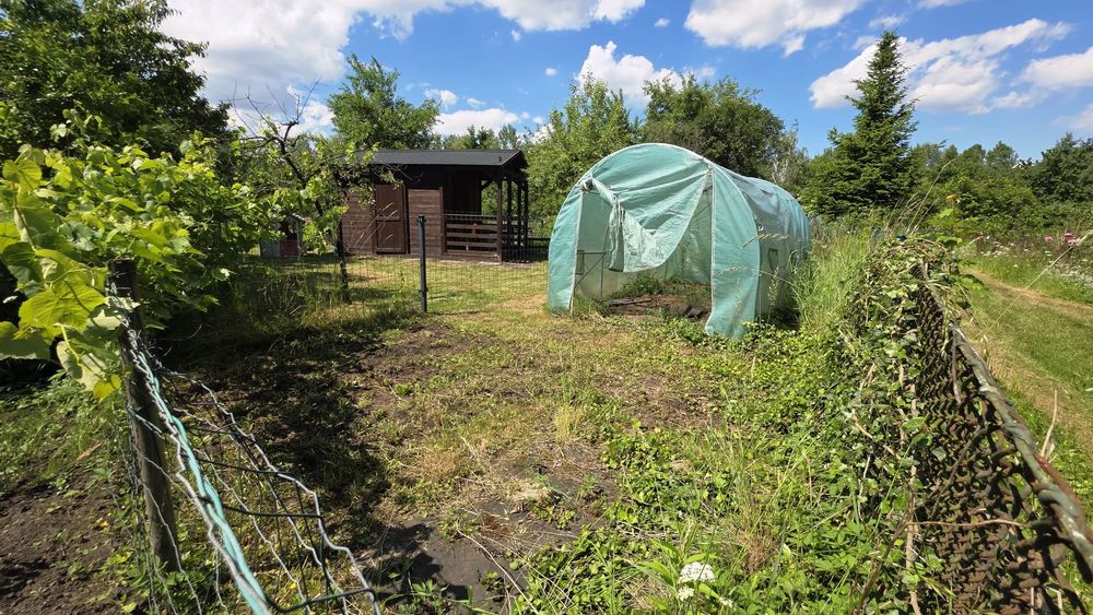 Przepiękny, w pełni zagospodarowany ogródek działkowy (ROD Czerwone Maki Wrocław) – 270 m² - Widok 3
