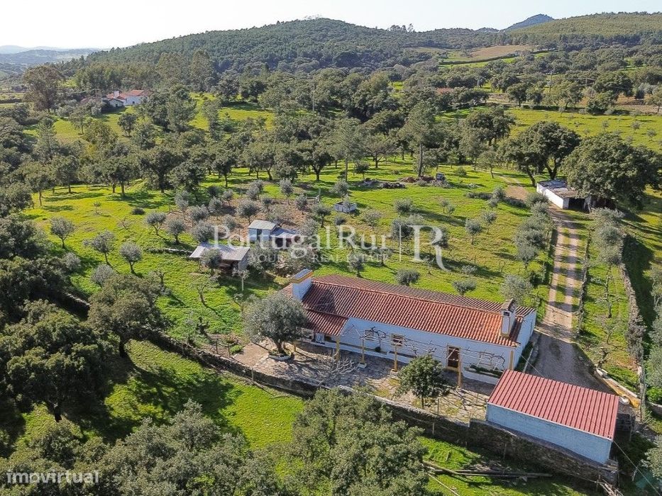 Quinta T3 em Alegrete, Portalegre