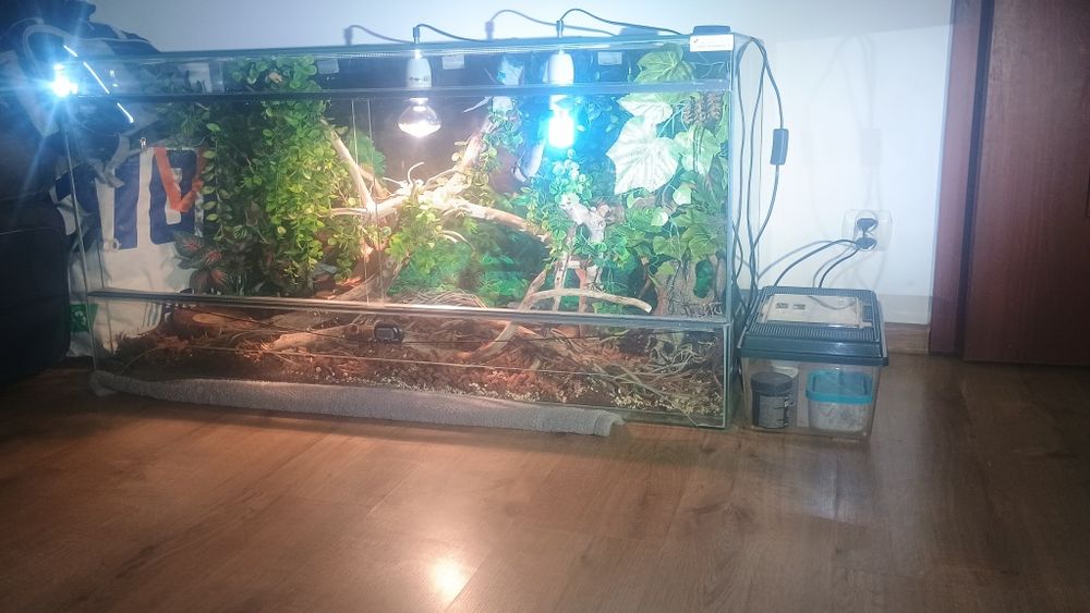 Terrarium, Duże,Kompletne