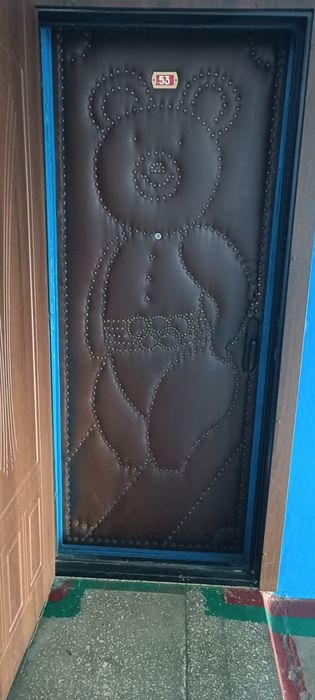 Двері у квартиру міжкімнатні та вхідні