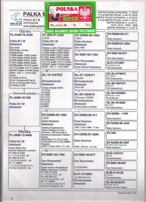 Młode Para 42 Oryg. MTM Pałka Szpak gołąb gołębie pocztowe 1360