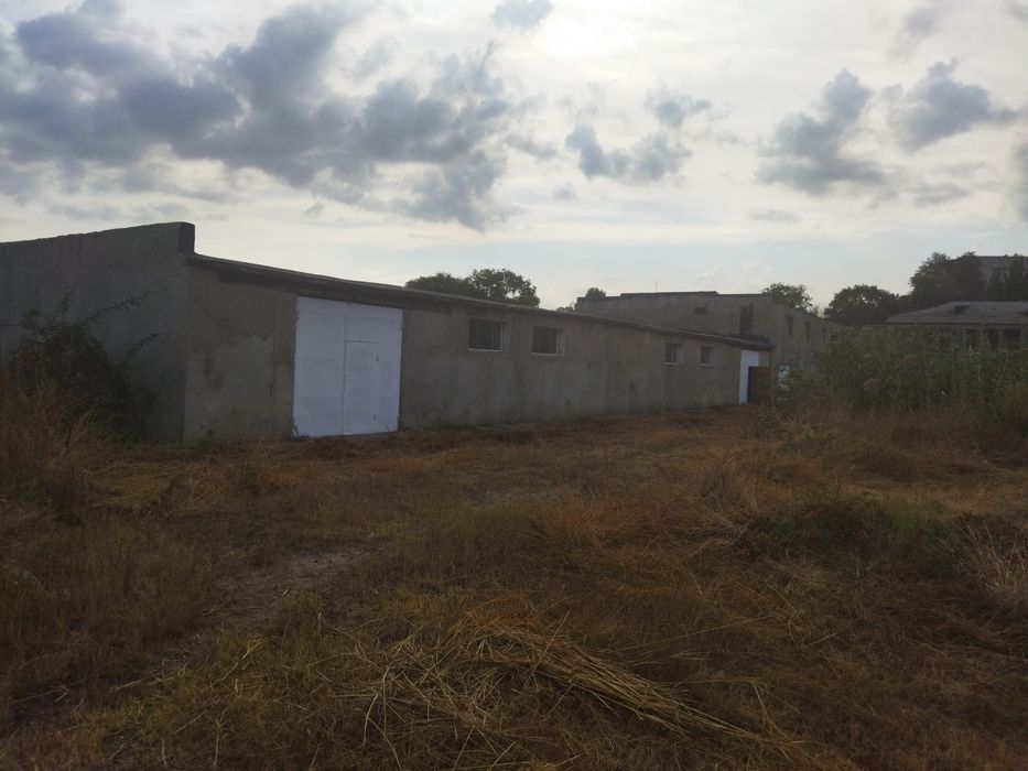 Здам в оренду овочесховище,виробничий цех та склади