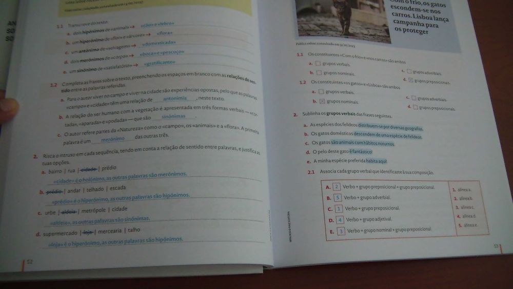 O mundo em palavras 9 - Português - 9.º Manual com caderno (Professor)
