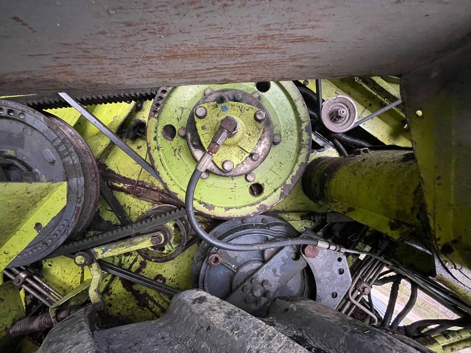 Dominator 118 SL MAXI