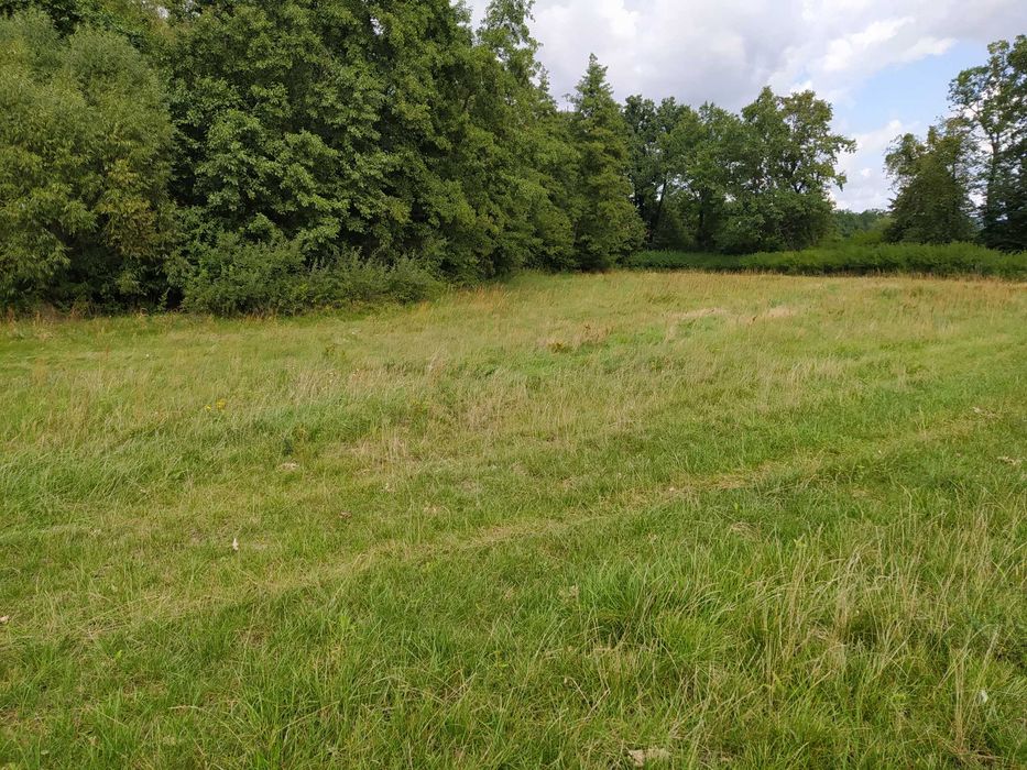 Działka budowlana nad jeziorem Żelazna