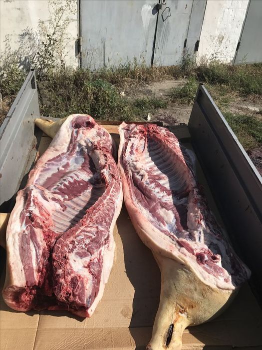 Продам свинину четвертями