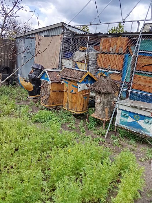 продам вуликиі і бжолосімї