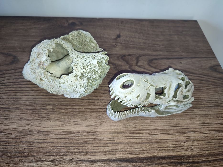 Wyposażenie akwarium, ozdoby