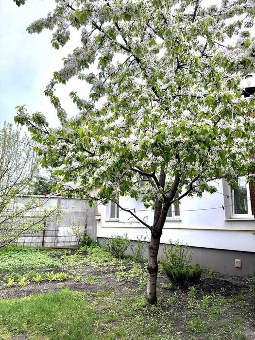 Продам полдома в районе завода Шевченко  со своим двором