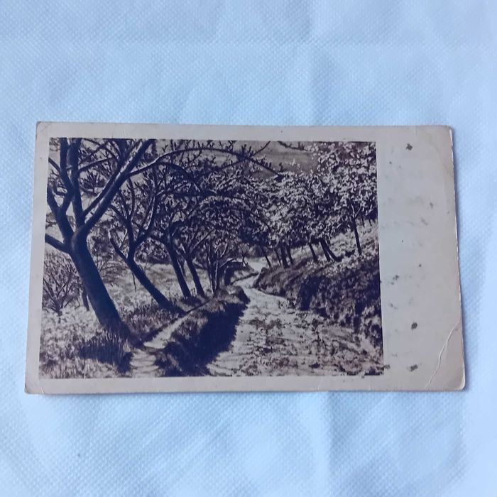 Pocztówka: ścieżka nad strumykiem. III Rzesza.