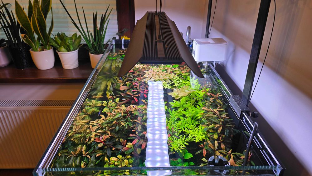 oświetlenie MicMol Master 600 - WRGB WiFi 84W