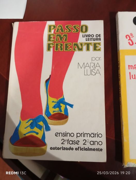 2 livros vintage 2 e 3 ano