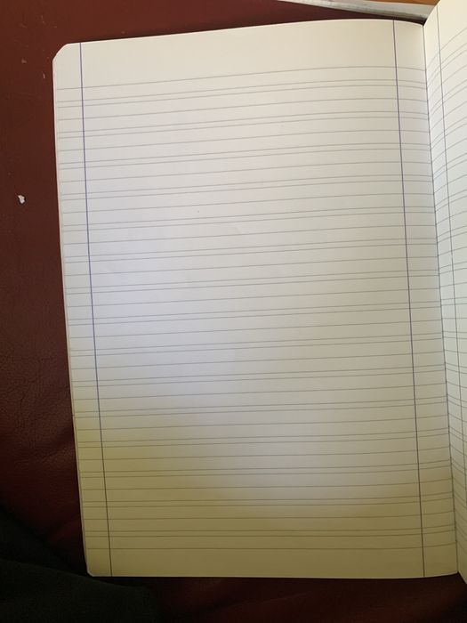 Зошити Winx club