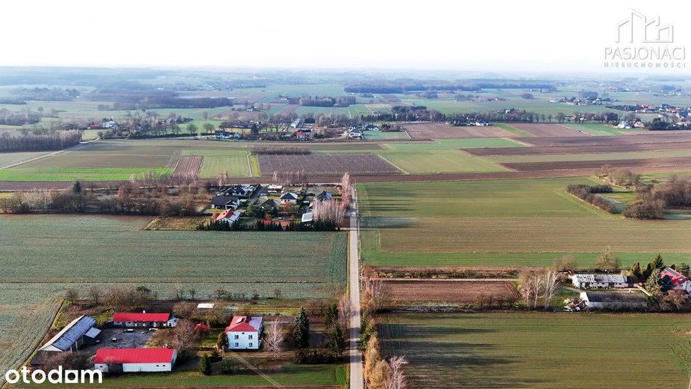 Działki budowlane w Woli Krasienińskiej - Widok 4