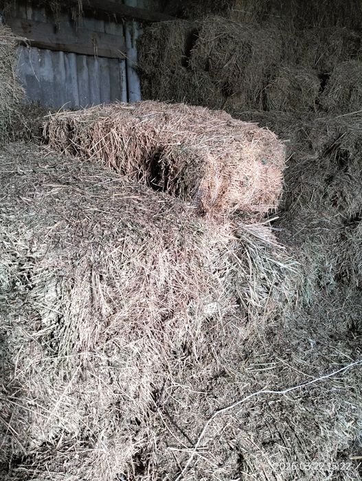 Продам  солому ячну 150 грн