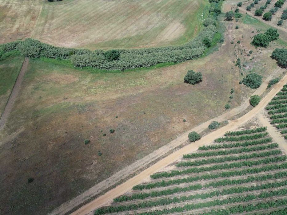 herdade no baixo Alentejo