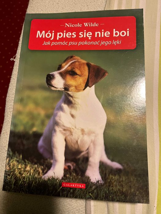 Mój pies się nie boi - Nicole Wilde