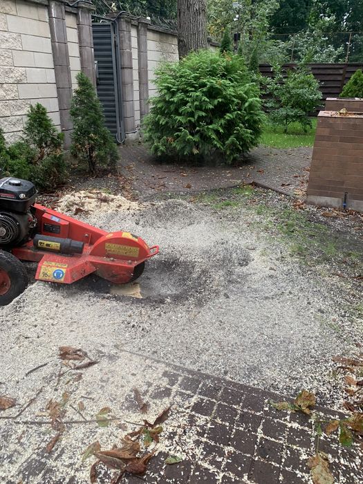 Видалення дерев|Зрізання дерев|Спил аварійних дерев|Корчування пнів