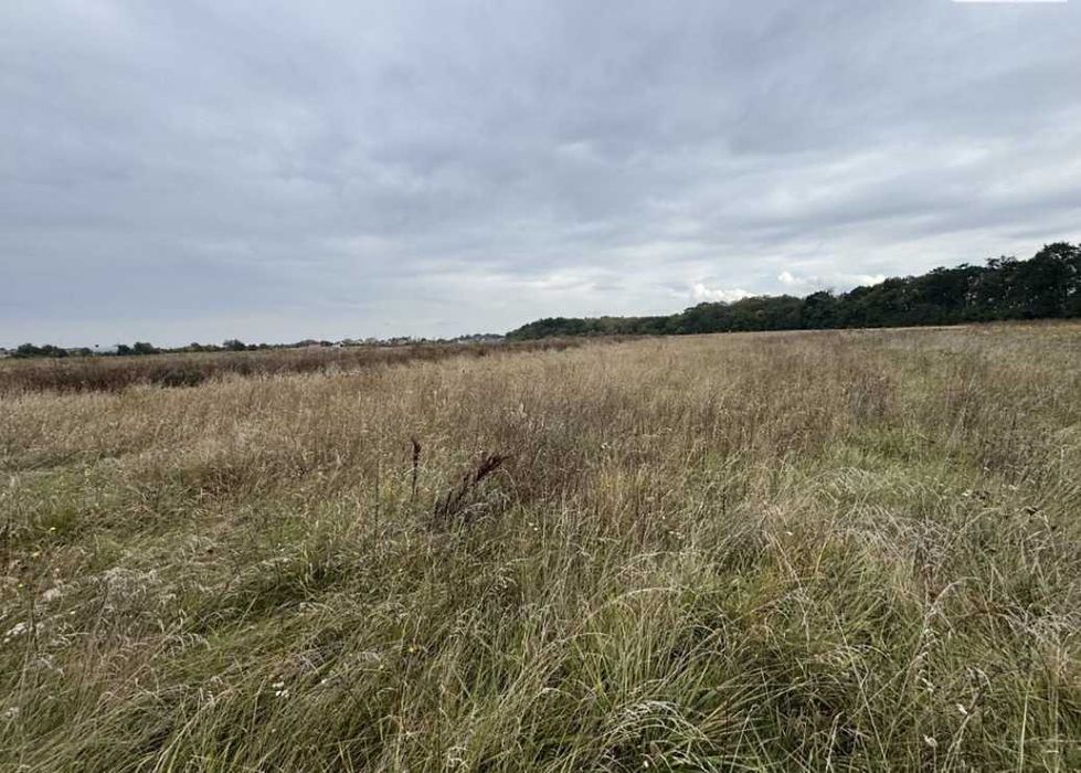 Продаж земельної ділянки с/г призначення, 8 соток, сю Бохоники